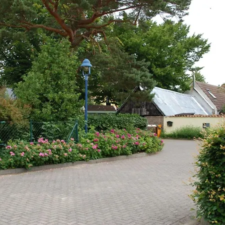 In Ostseeheilbad 青斯特
